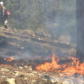 The Matter of Life and Death